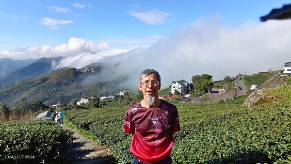 阿里山 #隙頂二延平 #頂石棹 #觀音圈 #雲海 #琉璃光 #雲瀑 #霧虹 11/172649801
