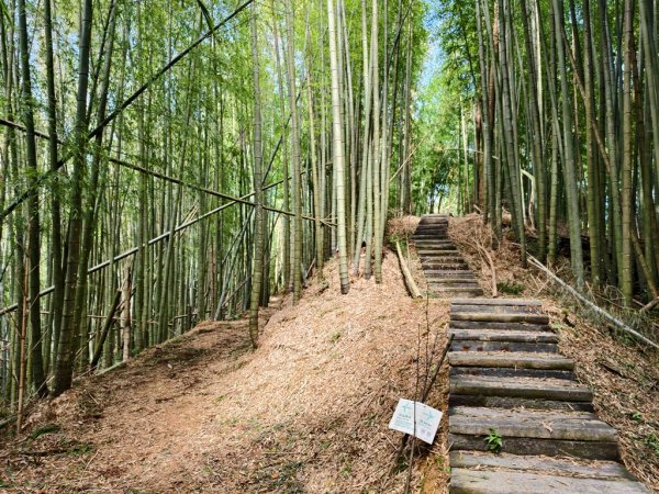 【石壁】五元二角連走木馬古道O繞2871568