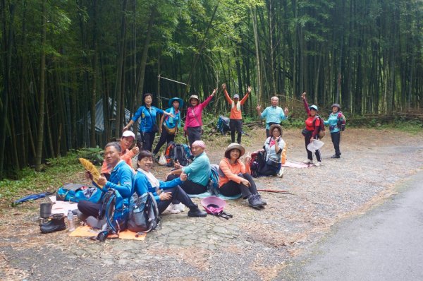 羊彎上武岫大崙山茶園尋山頭2824932