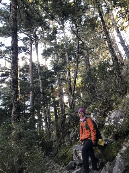 雪山 不下雪532990