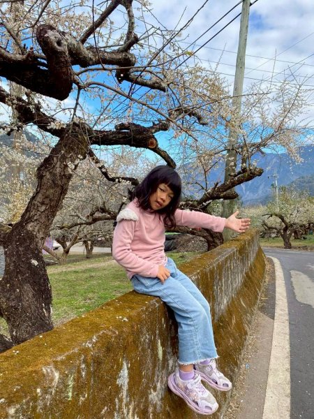 🌈1/17（六）蔡家古厝賞梅×梅子夢工廠×車埕老街✨FB：熊熊趴爬走🌈2983921