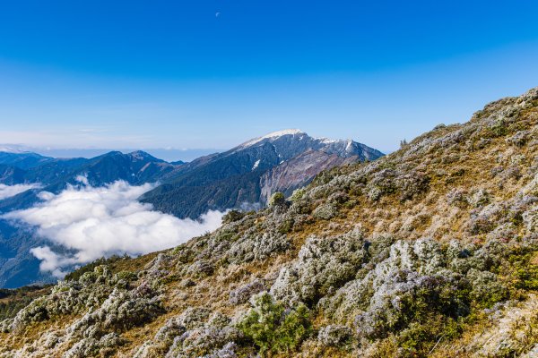 南二段撤退行2743222