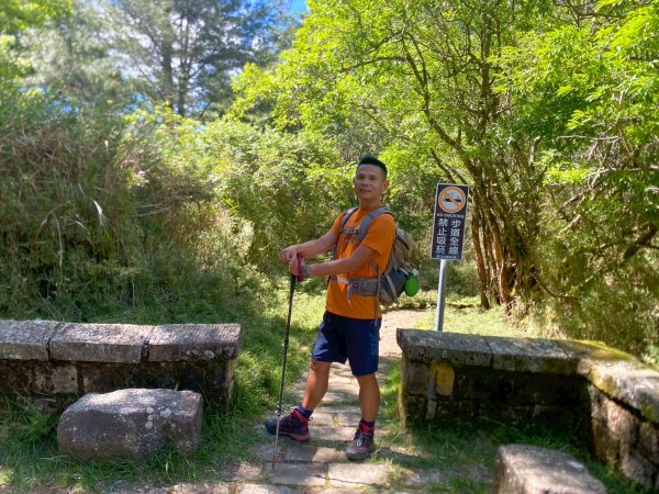 東埔山+東埔大草原步道【這裡的夏天冷颼颼】2826496