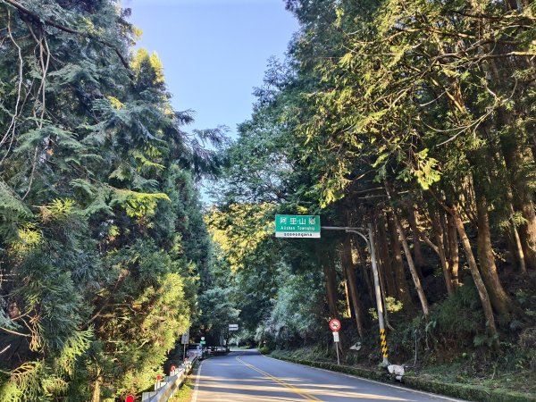 [百山百鳥尋旅-12/15] 2025_0928 特富野古道2899584