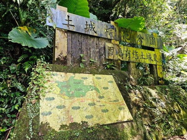 (天上山系)望月亭桐花-2025微笑山線大縱走尋寶集章任務2870359