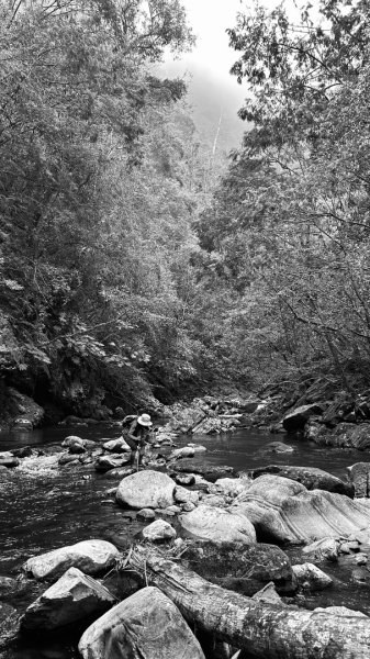 芃芃山西北稜大內台2693956