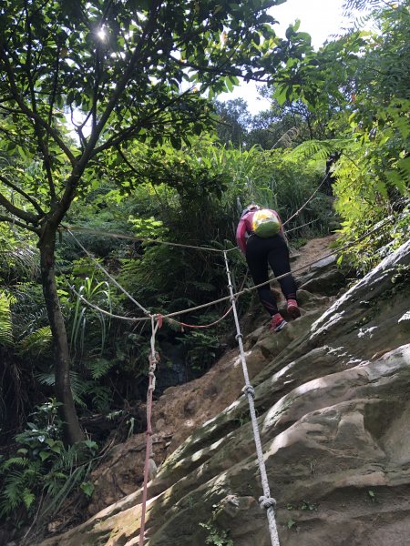 南子吝山/劍龍稜/復興山982292