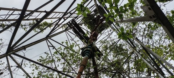 20230404_出磺坑山+古油井步道O型2094222