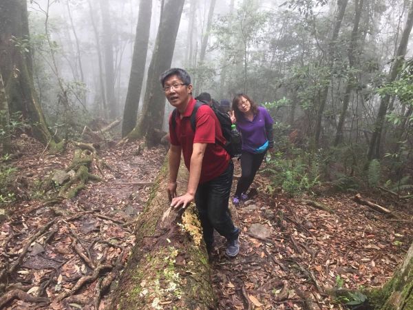 2017/06/24 陪著爸媽去鳶嘴山139780