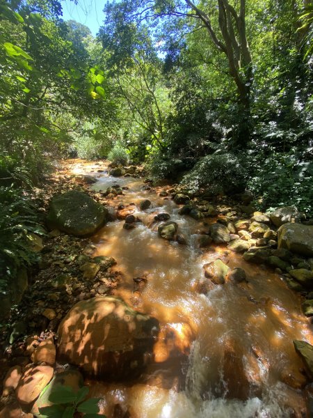 《陽明山秘境健行｜翠峰瀑布 × 天母古道 夏日涼爽路線》2852211
