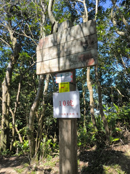 20251004微笑山線：【二格山系】筆架連峰段2904506