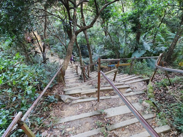 小百岳No.42⛰南觀音山2924863