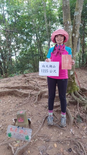 【苗栗南庄】向天湖山光天高山小O繞2933140