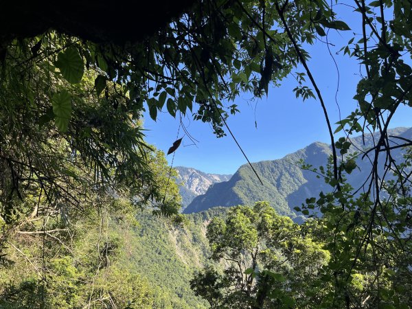 [玉山尋寶任務-03/12] 2025_0810 瓦拉米步道2857484