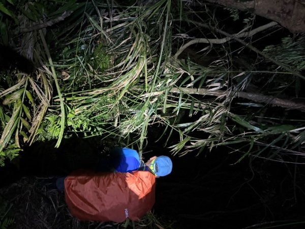 桂山路197巷 》呂奔山北峰 》呂奔山 》阿玉壩2755830