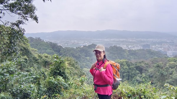 (姨婆趴趴走)第四十七集:新北土城大暖坑山等諸峰攀登連走2738758