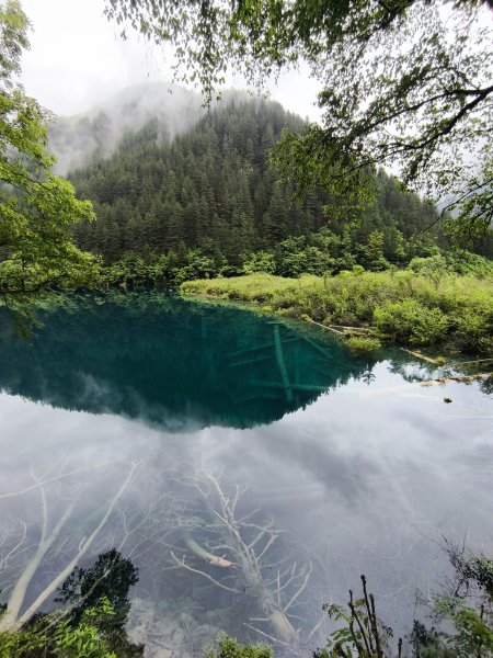 【海外健行】在山海與古都間，一半人間煙火，一半天上霓虹。3071560