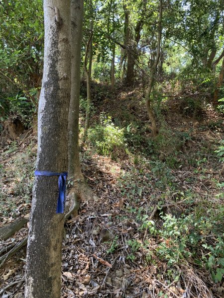 20250503屏東埔姜山東2781515