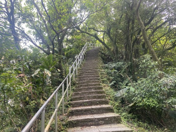 《城市與山的交界線｜大尖山連走四分尾山》O繞路線＋秀峰瀑布＋遇見養蜂人🐝3056639