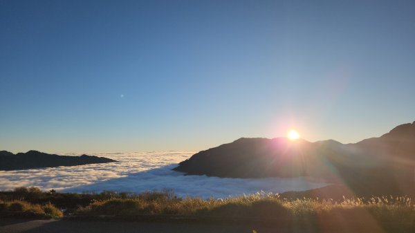 20231125 合歡西峰+合歡北峰2514746