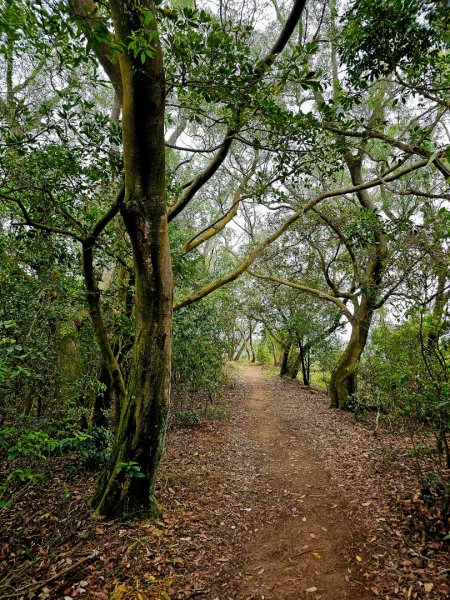 文山步道 - 新竹縣新埔鎮2676820