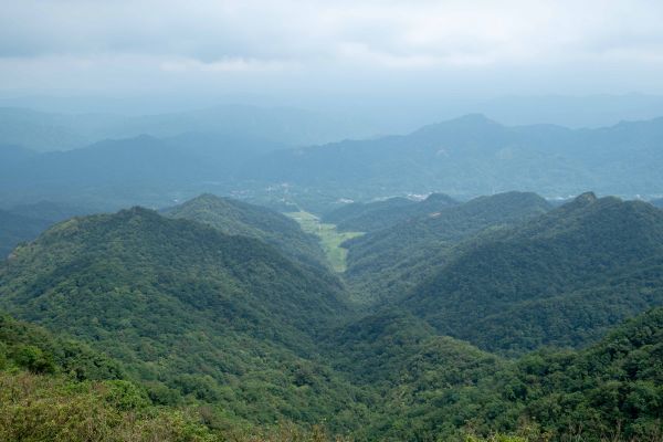 姜子寮山步道360457