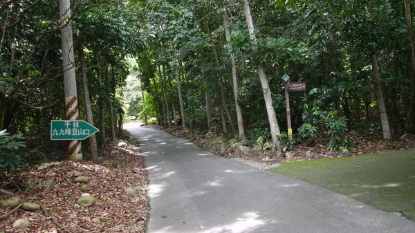 九九峰森林步道登山健行趣(步道)1827288