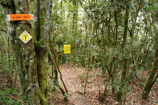 臺中 和平 橫嶺山、沙蓮山、笛吹山2974934