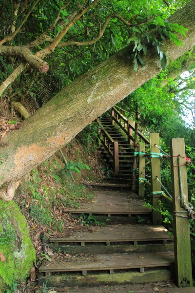 挑啊挑! 挑過山道 20190606759109