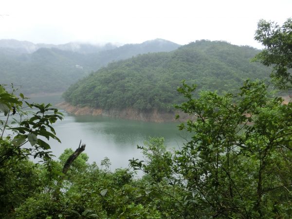 千島湖．八卦茶園．永安景觀步道162661