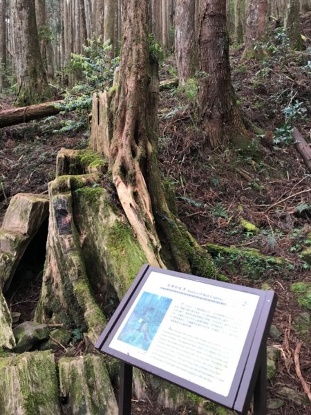 特富野古道