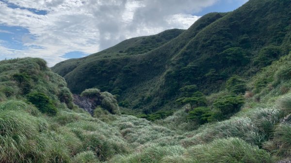 七星山主峰東峰步道（台北大縱走第三段）1728708