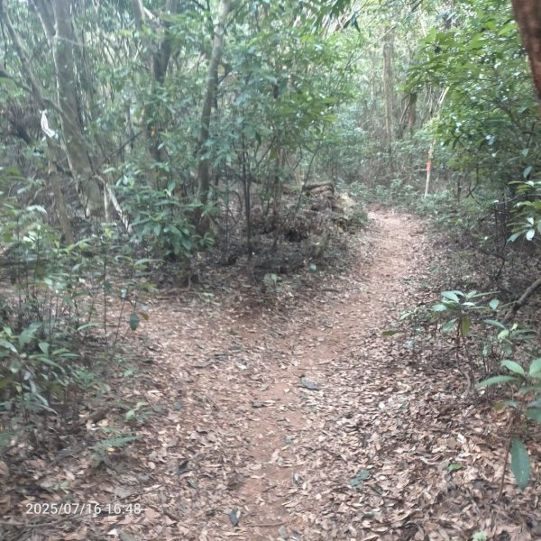 皮皮:三段崎古道2838653