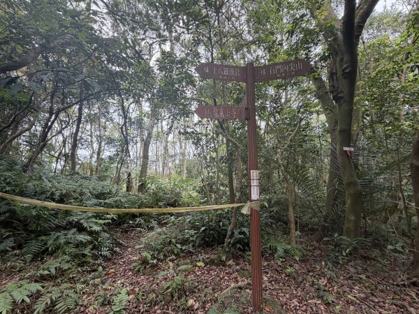 [微笑山線_第四段] 2026_0321 天上山系_十八羅漢岩3022112