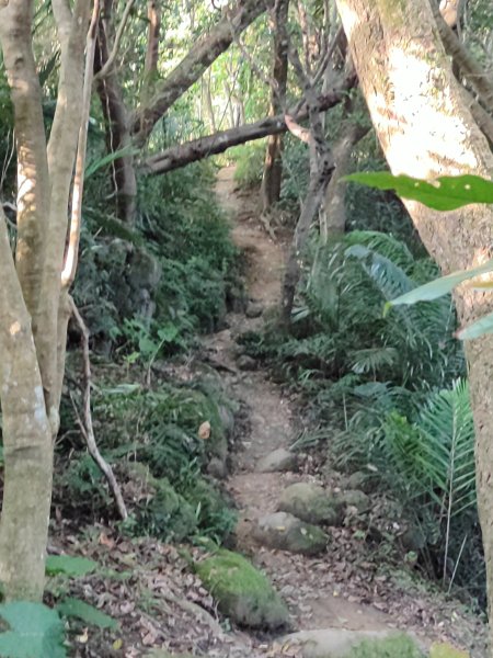 微笑山線：【鳶山山系】鳶山彩壁段2855458