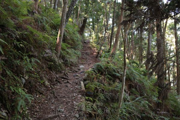 谷關七雄：新山馬崙山178246