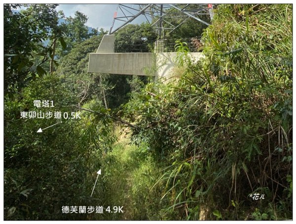 東卯山、東卯山西峰、東卯山西南峰 連走2932851