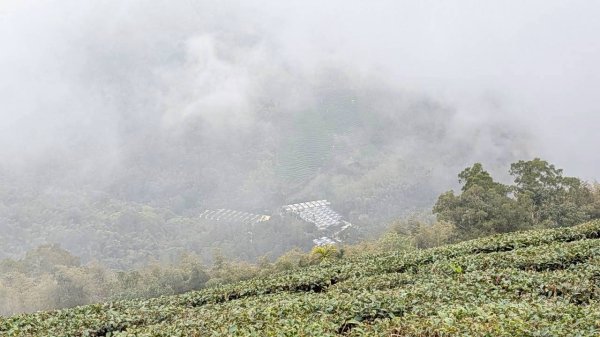 雲嘉五連峰 (大尖山、二尖山、馬鞍山、梨子腳山、太平山)2991036