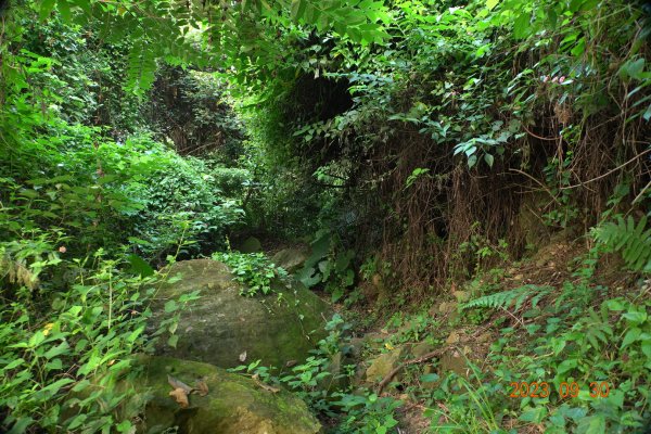 苗栗 大湖 玉女山、金童山、汶水山2301462