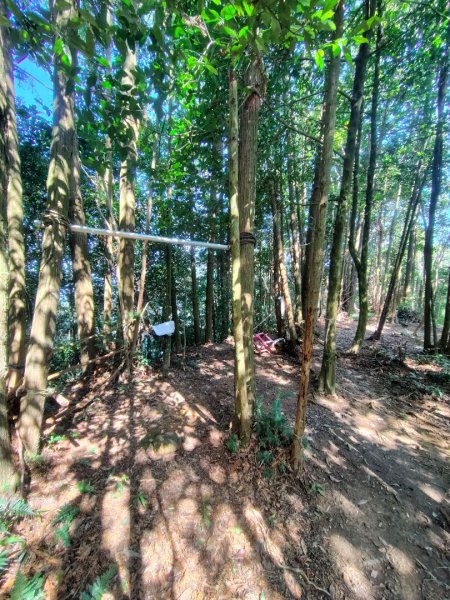 能高瀑布 慶安宮 頂猴洞山 猴頂洞山南峰 福興山2883716