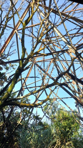 20250203_小百岳女仍山2706846