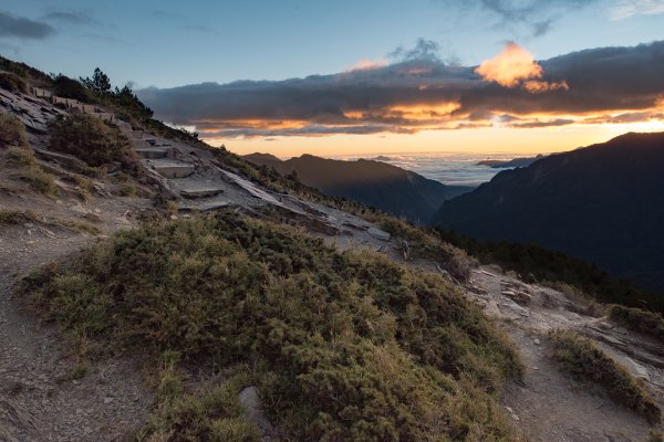 合歡北峰-圓柏的視野466843