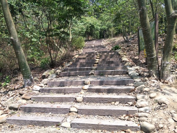 九九峰森林步道-(南投百大步道)1652735