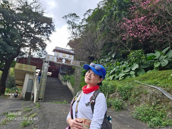 東勢大崙、東勢坑山、觀音湖山O走2986262