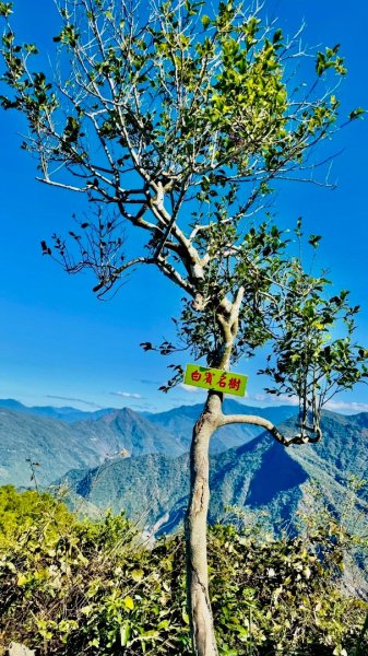 阿蓮五虎兄弟之瑪家三兄妹來回縱走2976167