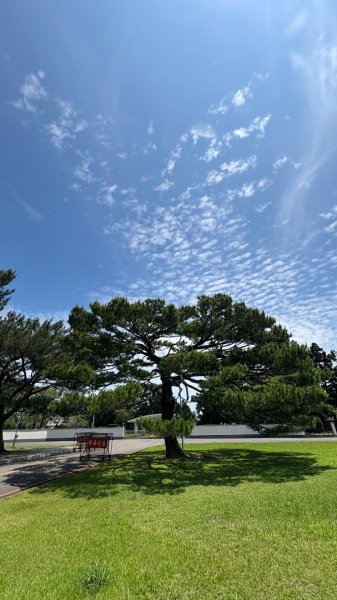 綠衫林公園2800892