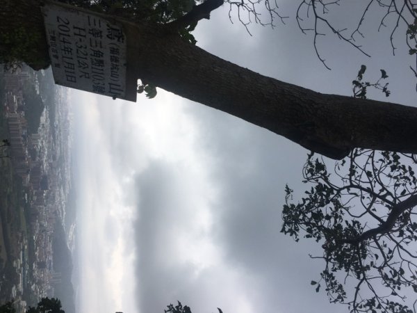 鳶山三連峰O繞一圈（三峽老街祭五臟廟 #鳶山 #鳶山東峰 #鳶尾山 #鳶山岩 #三峽老街2683257