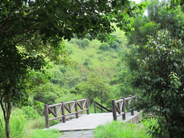 2019-07-25 竹坑-南寮登山步道635984