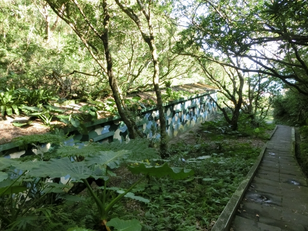 金山魚路古道．獅頭山公園91812