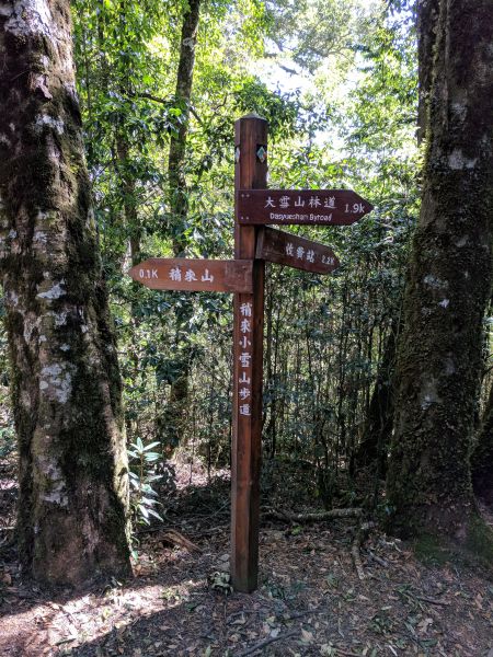 大雪山森林遊樂區之稍來山與木馬道286608